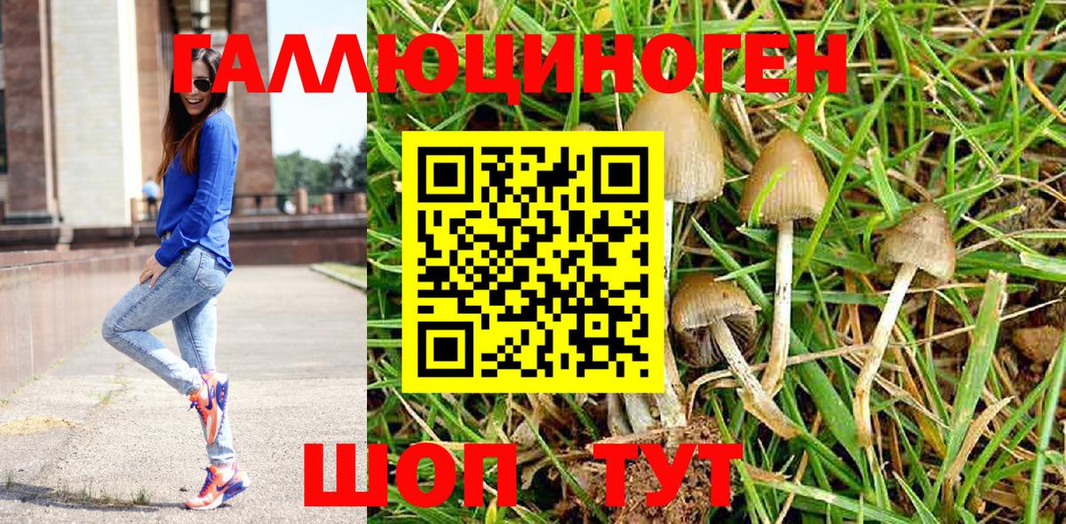 Галлюциногенные грибы ЛСД Унеча